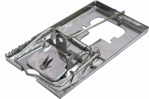 łapka-na-myszy-metalowa-1.JPG