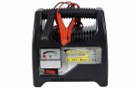 PROSTOWNIK 8 AMP 6.12V 1.JPG