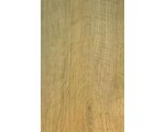 dąb-kolberg-panele-1.jpg