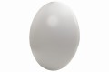 plafon-led-12w-okragly-dpm-cl7-c-12w-3.JPG