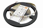 Tasma-led-KOBI-TRAMO-300-2835-ip20-6000k-5m-1.JPG