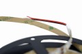 Tasma-led-KOBI-TRAMO-300-2835-ip20-6000k-5m-3.JPG