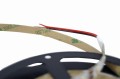 Tasma-led-KOBI-TRAMO-300-2835-ip20-3000k-5m-3.JPG
